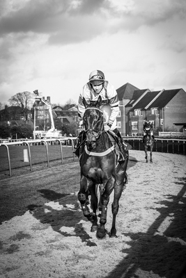 Warwick Races, February 2020