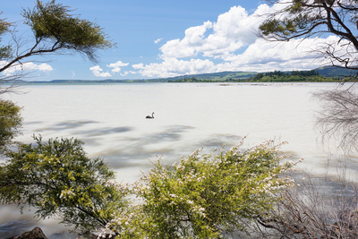 Sulphur Point, Lake Rotorua, NZ.  24 November