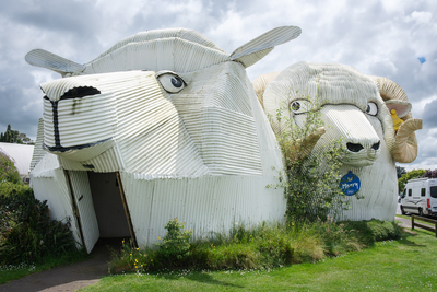 Tirau, Waikato, NZ. 26 November